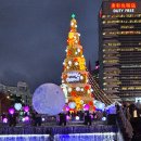 서울의 대표적인 야간축제 서울빛초롱축제와 광화문광장 마켓 개막 이미지