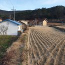 천성공인중개사사무소 이미지