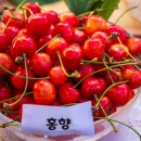 하금농장 이미지