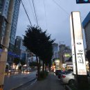 산호동338 이미지