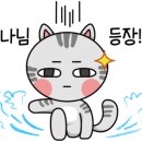 에이스쇼파 이미지