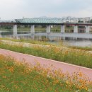 01-64 동구 이미지