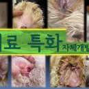 금나래동물병원 이미지