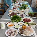 누정전시관 | 봉화 여행 솔향촌 숙소 A/B형 펜션 내돈내산 후기