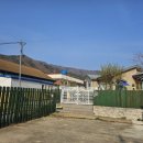 숲속댕토리애견유치원 이미지