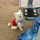 알라딘목장 | [월간보고] 1월. 일할 바에는 죽는 게 낫지…