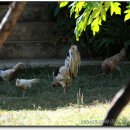 해구농장 이미지