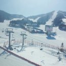 강릉아이스링크