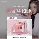 스토어 로지