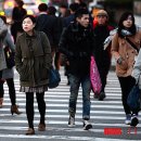 ● “수능일 아니랄까봐”…전국 기온 영하로 떨어져 /● 춥다 추워! /● 가을 끝자락에 내린 첫 눈 /● 만추, 떨어진 낙엽 위로 /● 떠나는 가을 이미지