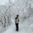 태백산 눈꽃산행 후기 (유일사 코스, 겨울산행 준비물, 안내산악회 후기, 라면애밥 강추)