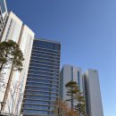 신라모노그램 강릉 레지던스 | 신라모노그램 강릉 레지던스 방문 후기