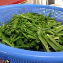 꼬꼬닭떡볶이