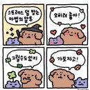 스시비조 이미지