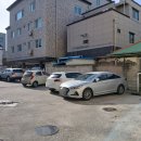 천일택시 이미지