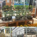 파주시산림조합 이미지