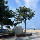 동부고속 | 동부고속과 함께한 당일치기 강릉여행♪