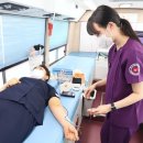 연세대학교 의과대학 용인세브란스병원 이미지