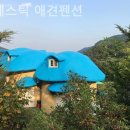 애견은 내친구 이미지