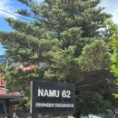 NAMU62 이미지