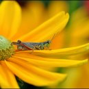 오늘하루가 이미지