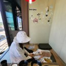 나들가게 쌍둥이하이퍼 | 6월 일상 : 여름 시-작!