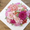 인디핫핑크 이미지