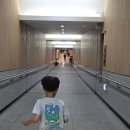 국립대구박물관 본관 이미지