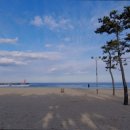 양양토담글램핑&펜션 이미지