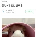 동물보육원 천안지부 네이버블로그