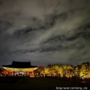 궁궐 그림으로 노닐다 | [경주 가볼만한곳] 밤이 되면 마법이 펼쳐지는 동궁과 월지 야경 명소 입장료 주차 꿀팁