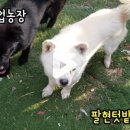팔현농장 네이버블로그