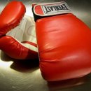 스타 복싱 다이어트 이미지