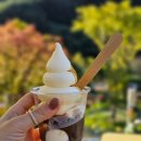 오누네일
