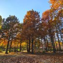 백마공원 화장실 이미지