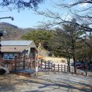 청양칠갑산구기자
