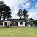 모꼬지 댕 이미지