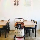 제주 애견동반 식당 동쪽맛집 난춘식당 실내 내돈내산 후기