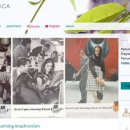 방배로42길 35 이미지