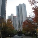 늘참조은약국 이미지