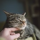 송은메디칼 이미지