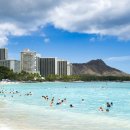 와이키키 이미지