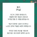 까다롭개 이미지