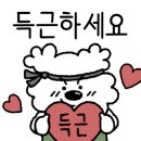 크로스핏 정글 이미지