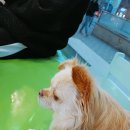 신촌동물병원 이미지