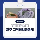 꾸미다꿈이다