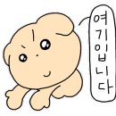 덤보베이커리하우스