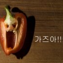 제인트 네이버블로그