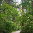 아일렛풀빌라 이미지