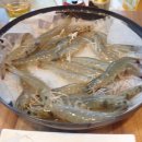 건강하새우 이미지